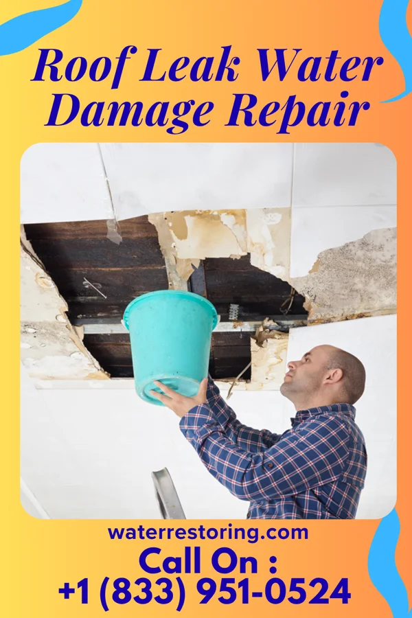 Roof Leak Water Damage Repair in Talladega, AL